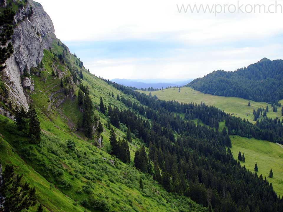 hinauf zum Mittaggüpfi