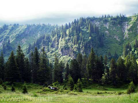 hinauf zum Mittaggüpfi