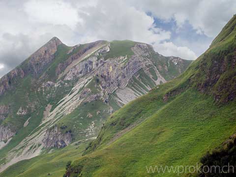 Gross Sternen, Forstberg