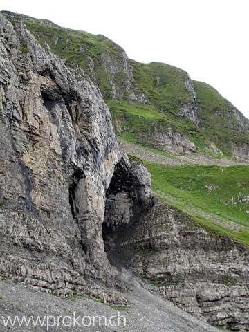 westliche Flanke des Forstbergs