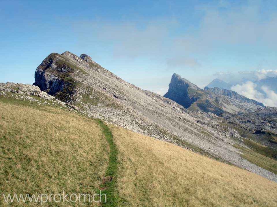 Vorne Hengst, hinten Hächlen