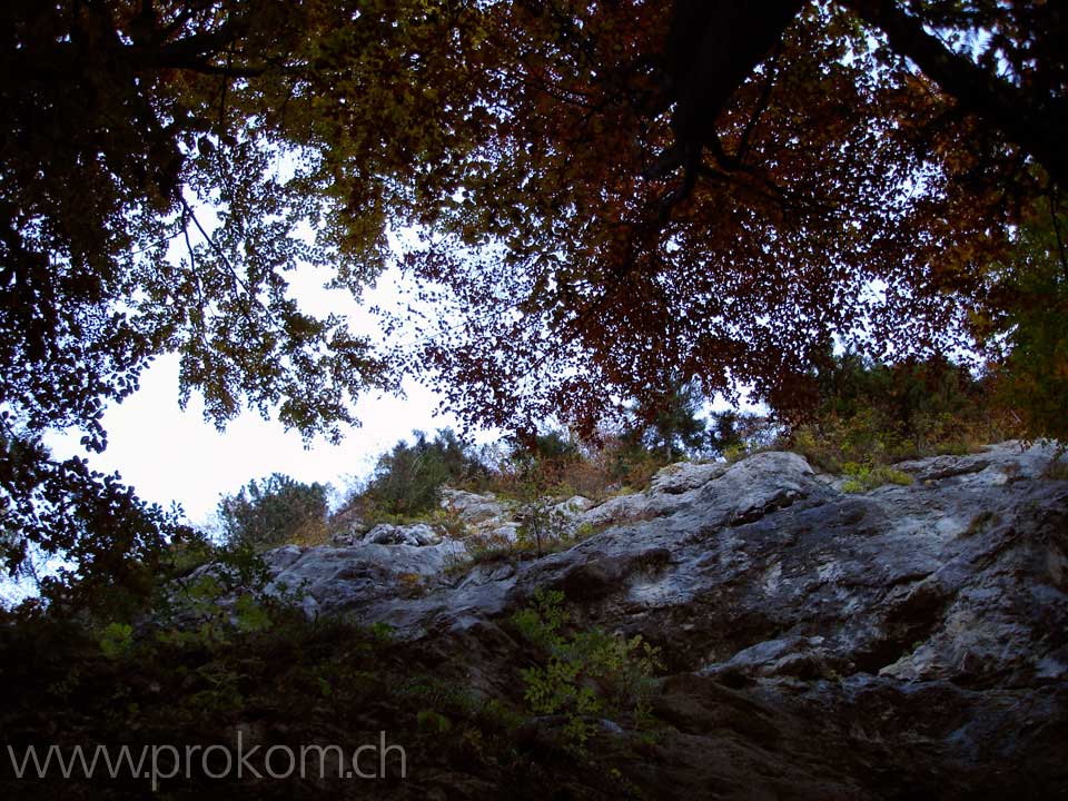 Aufstieg durch die Wand?