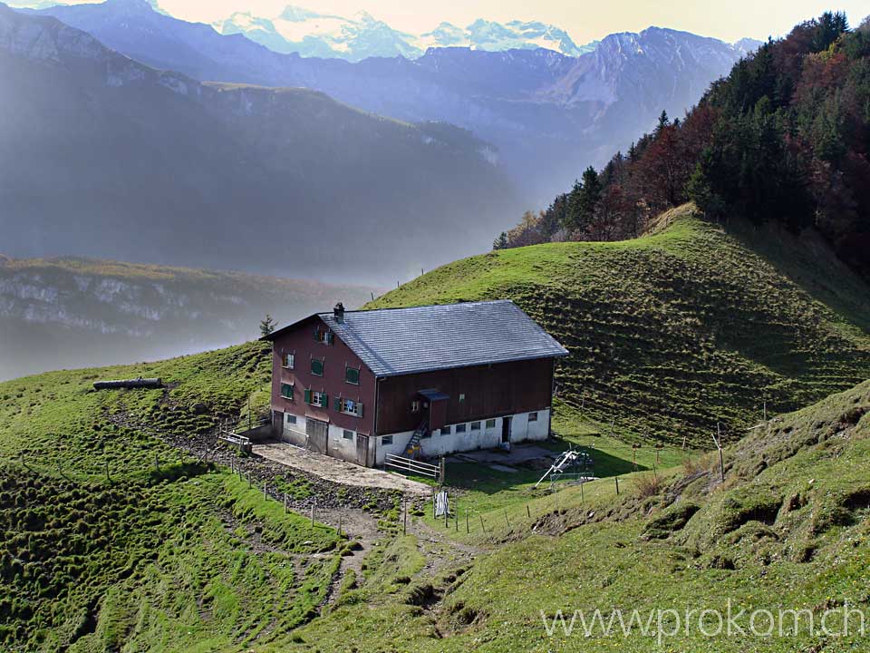 Zilistockalp
