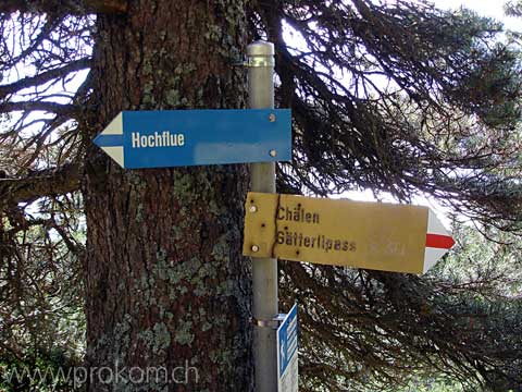 Blau/weisse Wegweiser