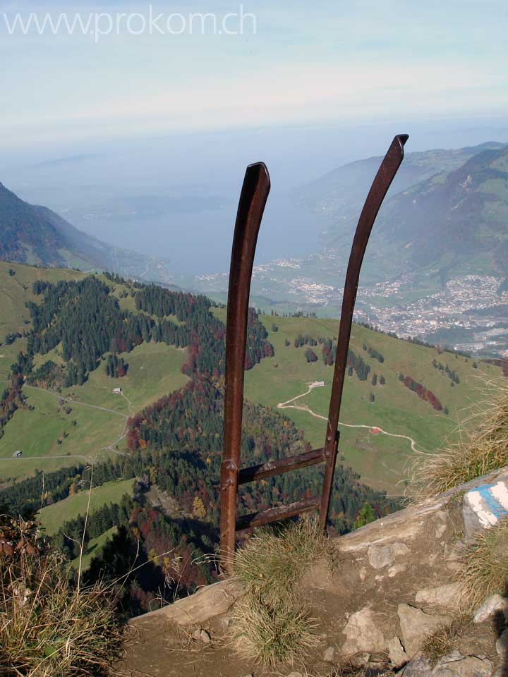 Rigi Hochflue: Eisenleiter