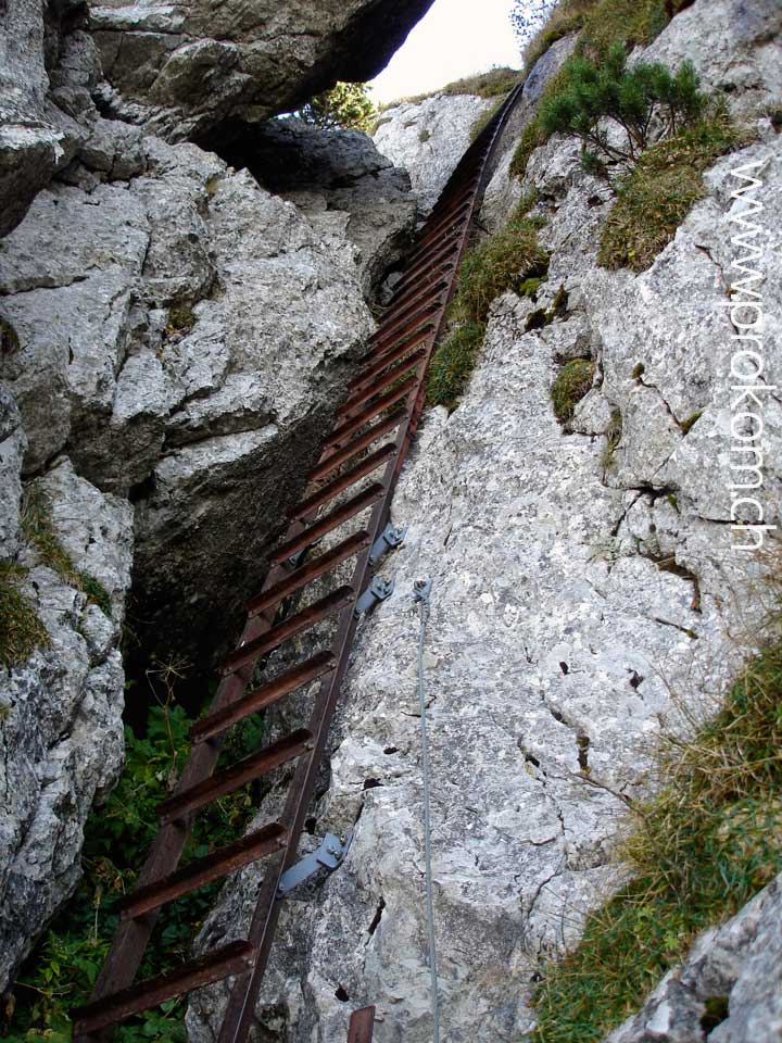 Rigi Hochflue: Eisenleiter