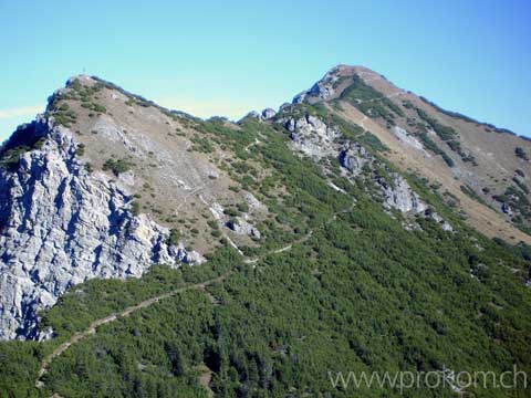 unterwegs durch die Latschenkiefern