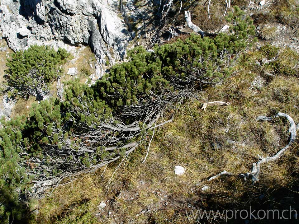 namenloser Felsspitz?