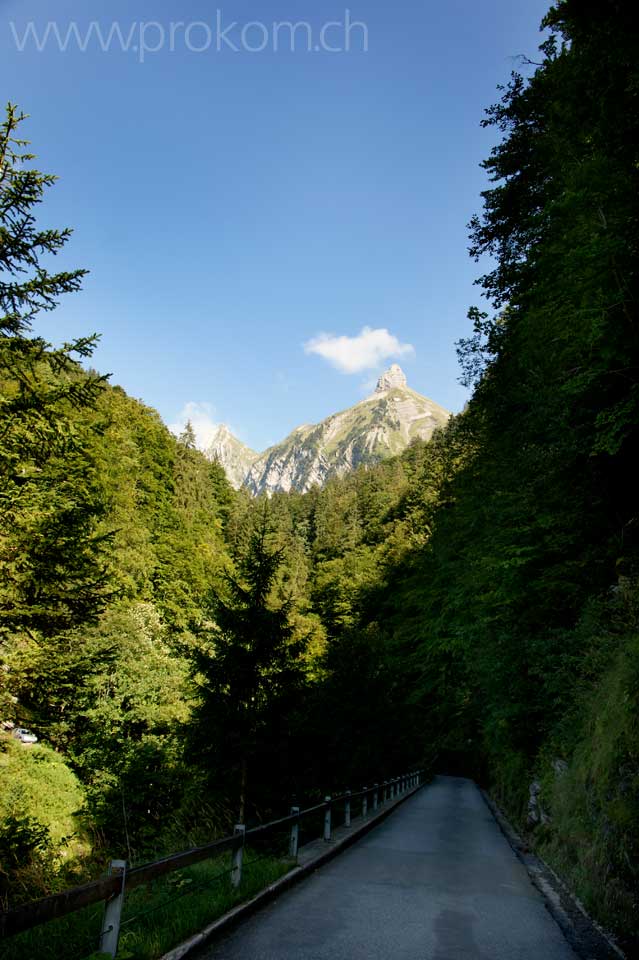 Die Strasse unten am Wägitalersee – Blick hinauf zum noch mikrig kleinen Zindlenspitz
