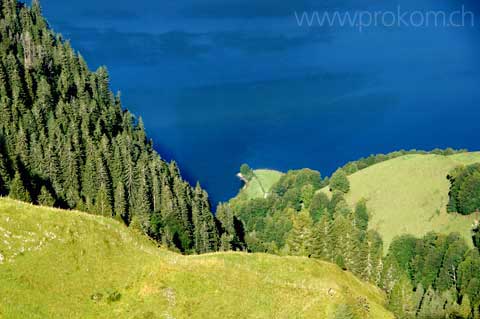Blick hinab, zum Wägitalersee