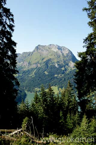 Durchblick auf Fluebrig