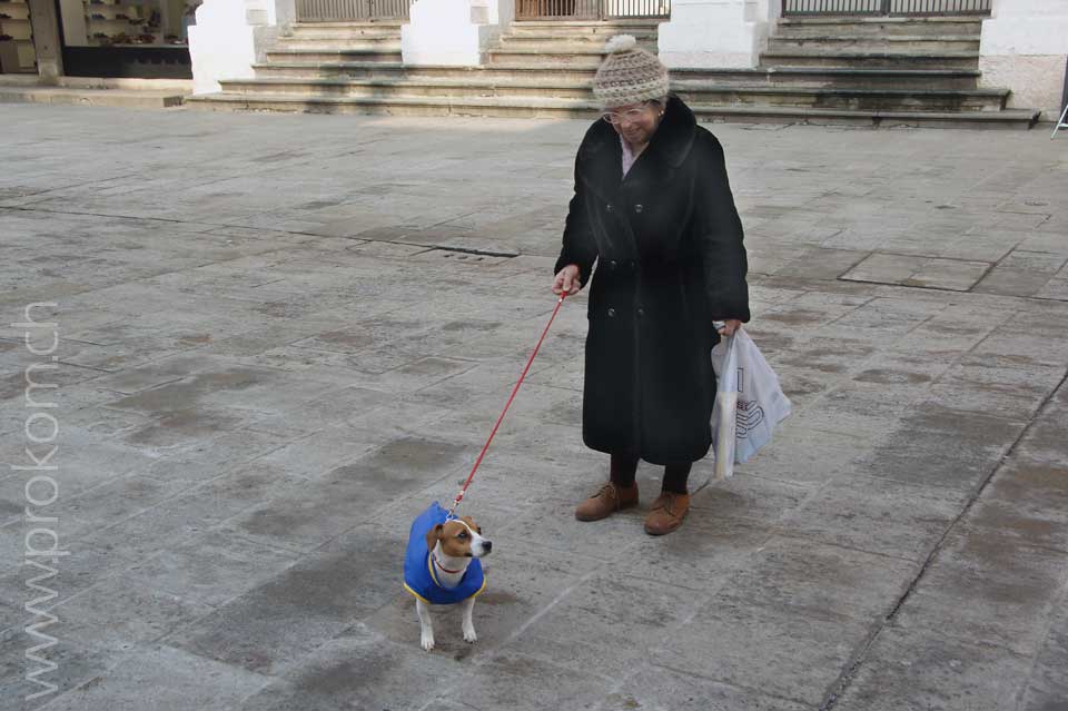 ältere Dame mit Hündchen