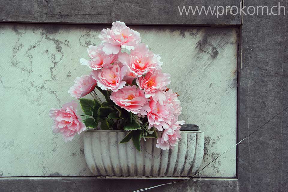 Venedig, San Michele. Venice. Venezia. Венеция, Сан-Микеле