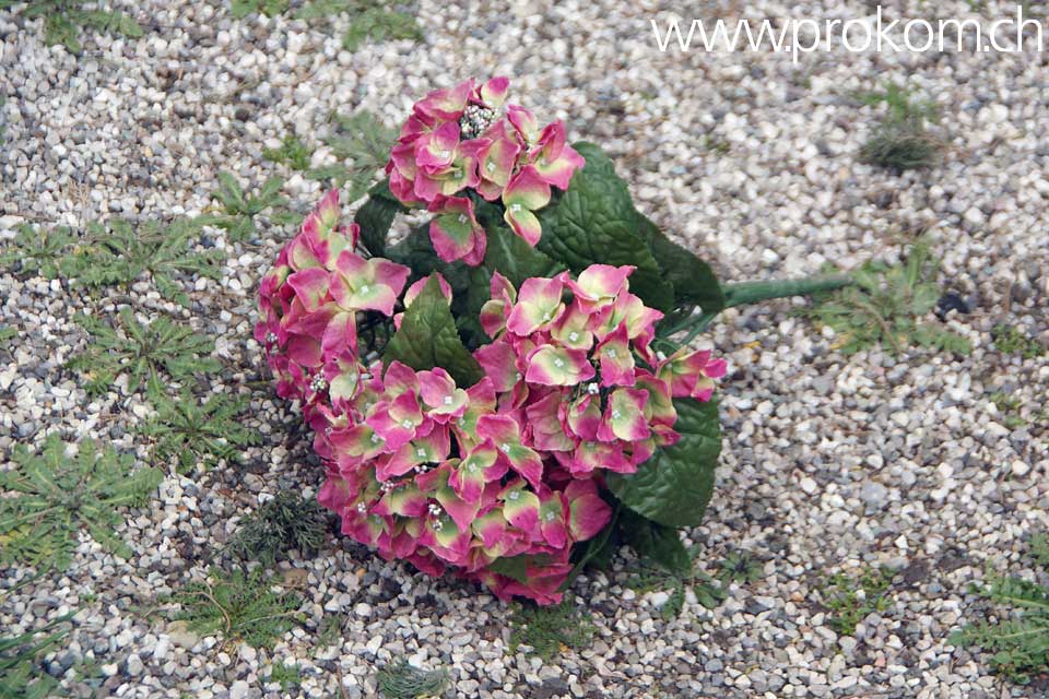 Venedig, San Michele. Venice. Venezia. Венеция, Сан-Микеле