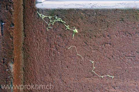 Kunst, Arts, Искусство, Arte