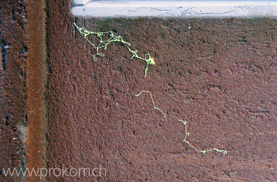 Kunst, Arts, Искусство, Arte