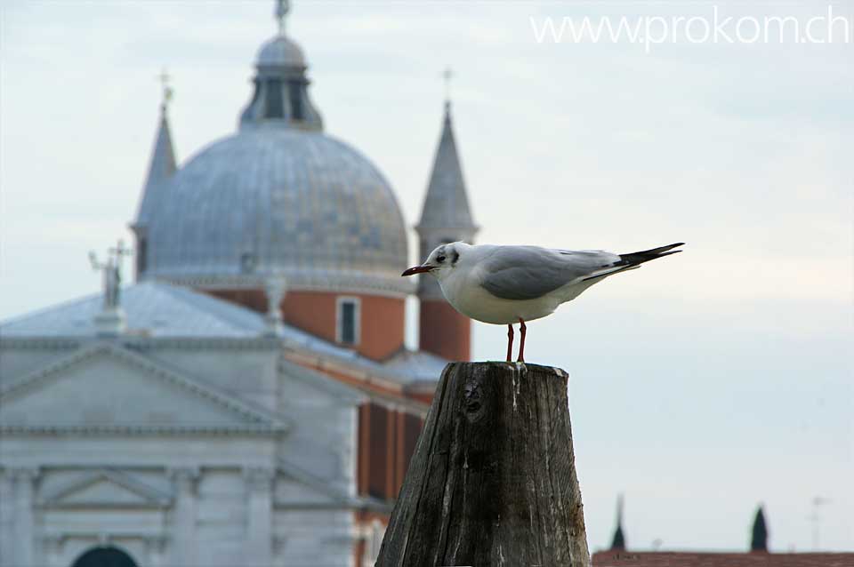 Venedig, Stadtansichten, Venice, sights of the town, Венеция – виды города, Venezia, vedute della città