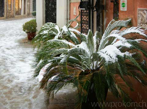 Venedig, Stadtansichten, Venice, sights of the town, Венеция – виды города, Venezia, vedute della città