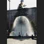 Löwenzahnbrunnen?