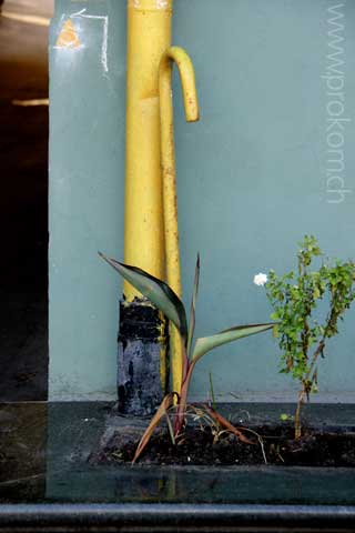 Ukraine, Kiew: Maidan