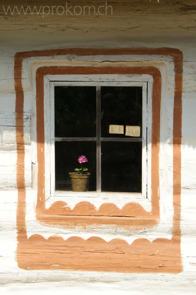 Pirogovo: Blumenfenster von aussen