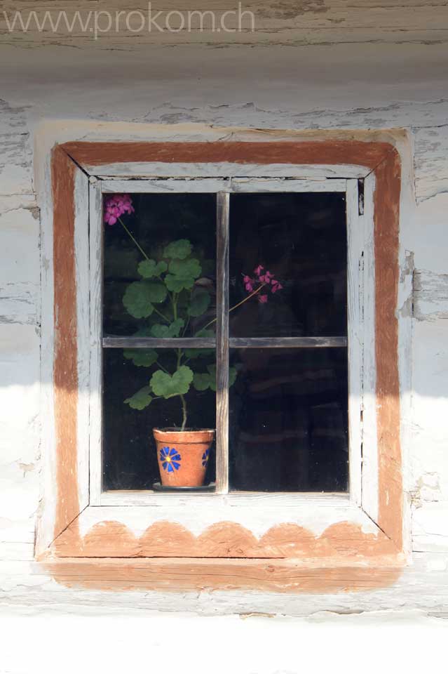 Pirogovo: Blumenfenster von aussen
