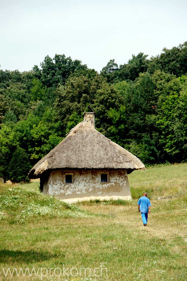 Strohdach-Bauernhäuschen