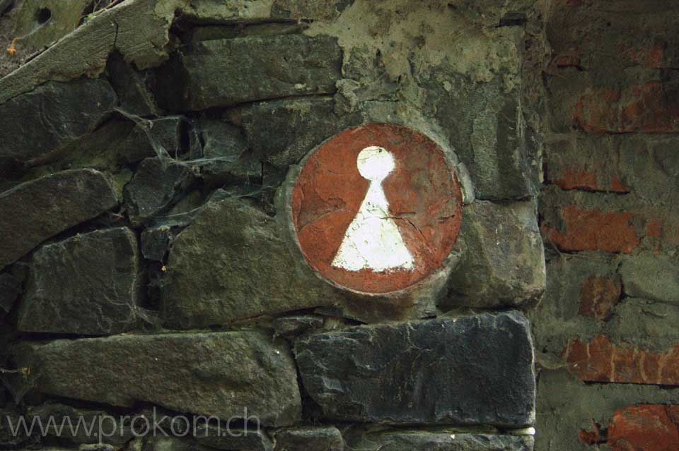 Toilette im Wald