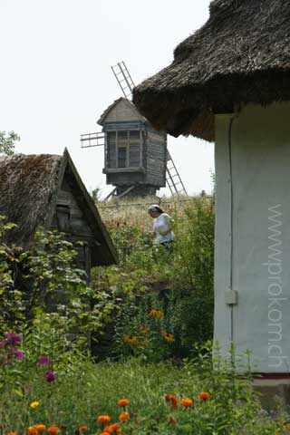 Bauerngartenidylle