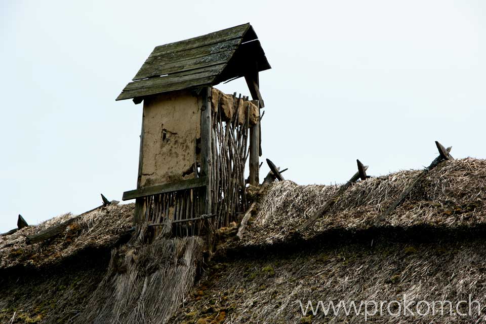 Bauernhaus mit Strohdach und Kamin
