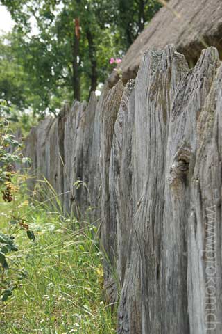 Palisadenzaun