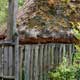 Holz und Stroh