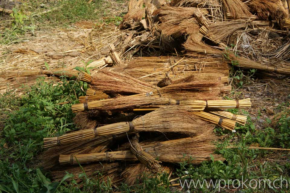 Roggenstroh ist das nicht, eher Schilf (Reet)