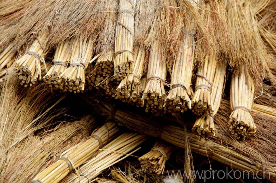 Roggenstroh ist das nicht, eher Schilf (Reet)