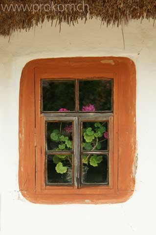Fenster mit Geranie – innen