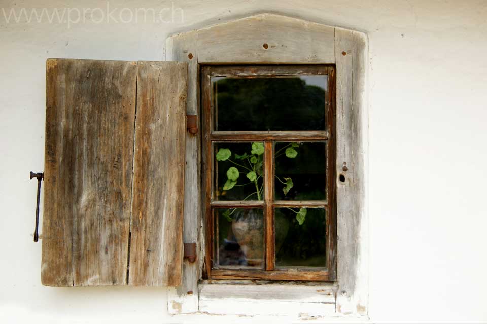 Fenster mit Geranie – innen