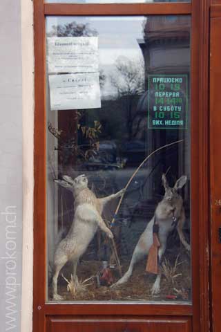 lustiges Schaufenster in Lwiw