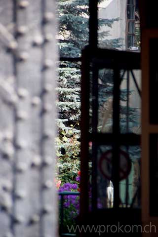 Den Durchblick muss man haben; dann sieht man Dinge, die nicht alle sehen.