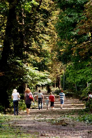 Spaziergang durch den sturmversehrten Wald – die Bäume hier sind mit dem Schrecken davongekommen