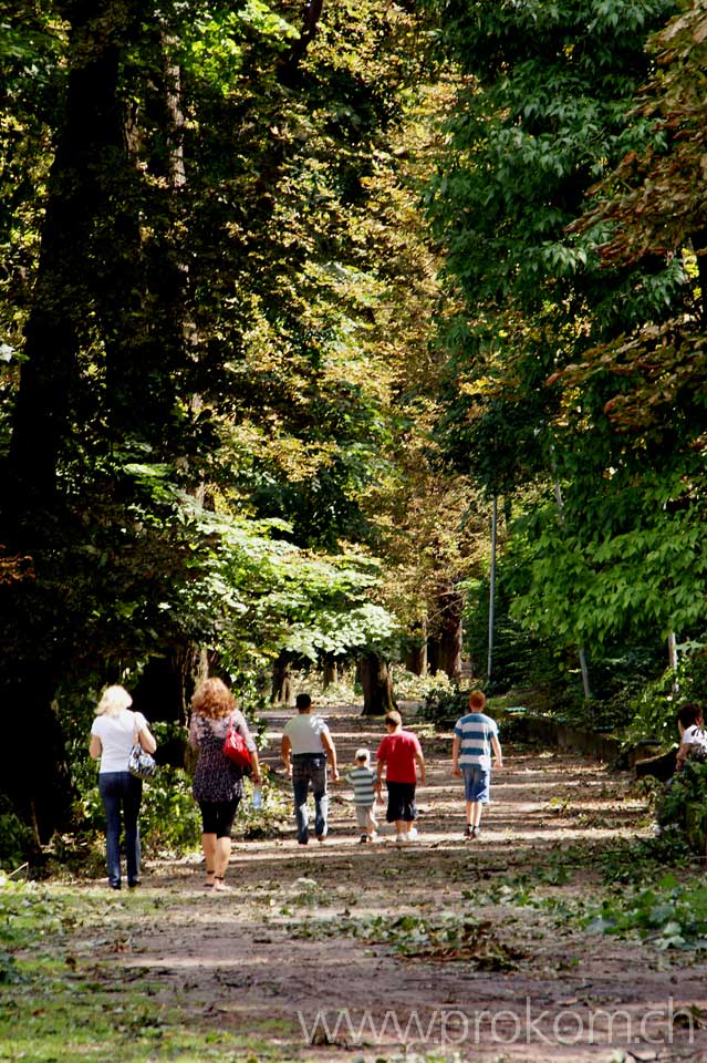 Spaziergang durch den sturmversehrten Wald – die Bäume hier sind mit dem Schrecken davongekommen