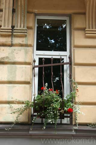 Ultraminibalkon mit Blumenzauber