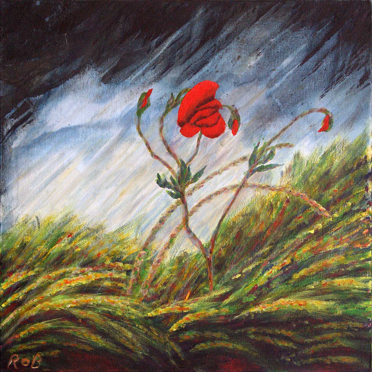 Keine Angst vor dem Sturm: Mohnblume | Not frightend at this storm: poppy | Не боится бури: мак